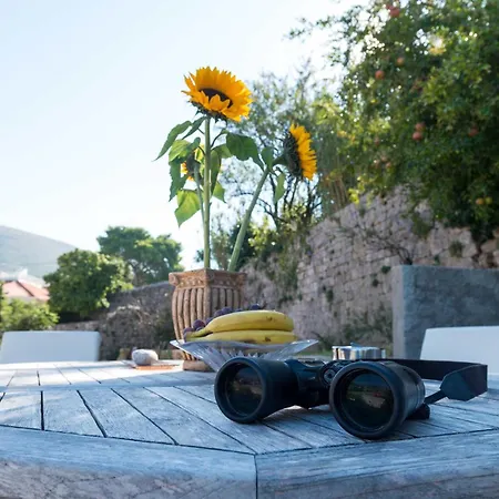 Apartman Orka - One-bedroom 2 Adults 1 Child *